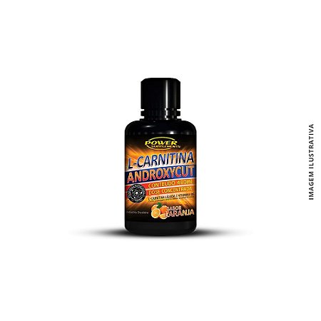 L CARNITINA 480ML - POWER SUPPLEMENTS