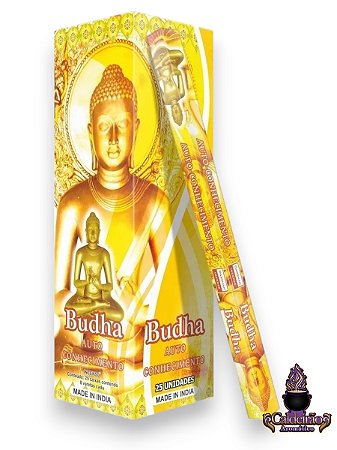 Incenso Darshan Budha 08 Varetas