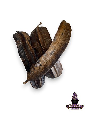 Fava De Orixas Xango Arida