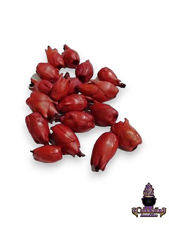 Fava De Pomba Gira