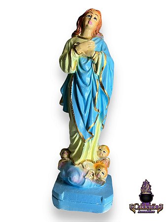 Santa Nossa Senhora Da Conceicao 20Cm