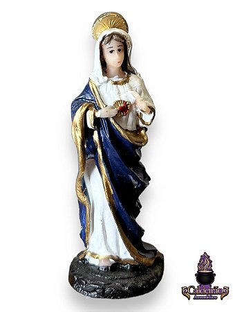 Sagrado Coracao De Maria 07Cm Em Resina