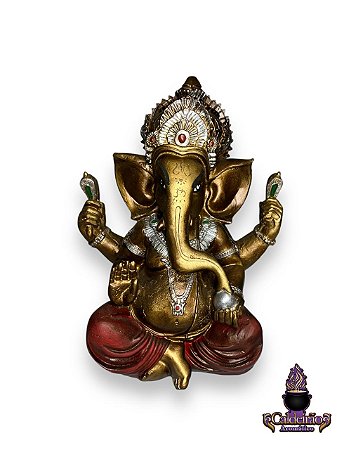 Ganesh Resina Med