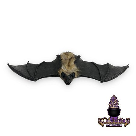 Halloween Morcego Preto