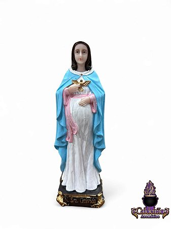 Lancamento Nossa Senhora Gravida Modelo Resina 15cm