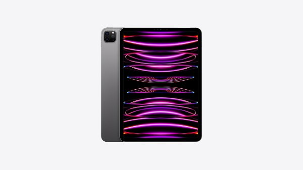 IPad Pro 11'' 4° M2 256GB WI-FI CINZA