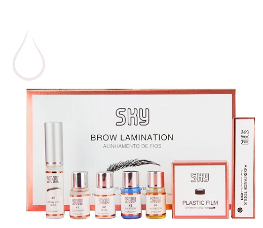 Kit Brow Lamination da SKY para o Alinhamento dos Fios