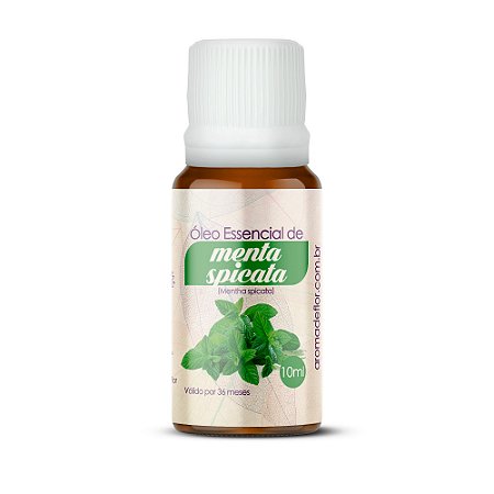 OE MENTA SPICATA 10ML