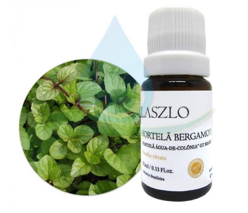 OE HORTELA BERGAMOTA GT BRASIL 10,1 ML (LASZLO)