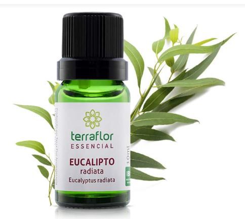 OE EUCALIPTO RADIATA 10 ML (TERRA FLOR)