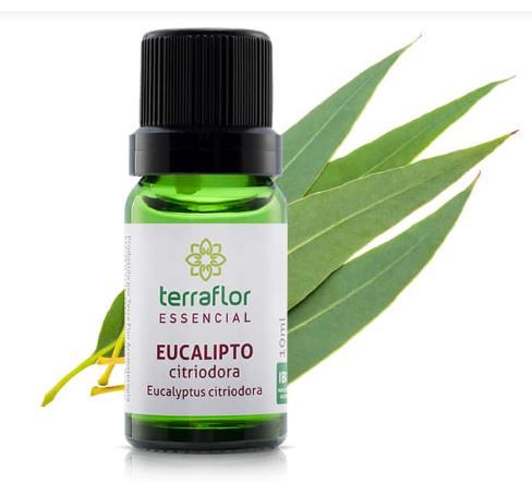 OE EUCALIPTO CITRIODORA 10ML (TERRA FLOR)