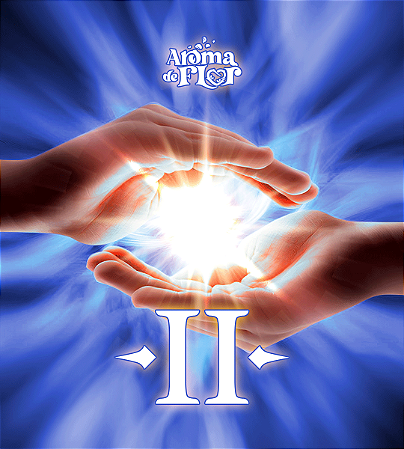 Reiki Nível II – A Transformação