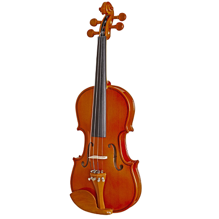 VIOLINO HOFMA ESTUDANTE 4/4 - HVE241