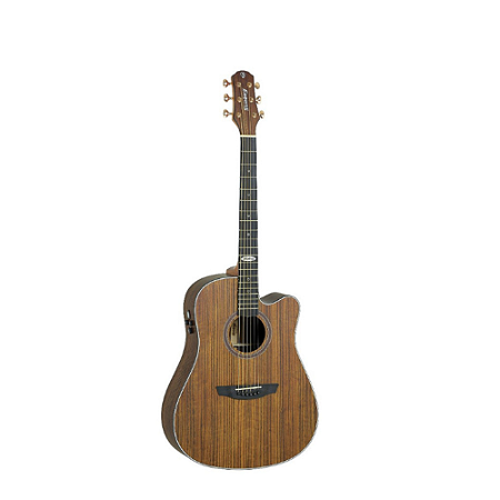 VIOLÃO STRINBERG FOLK AÇO ELETROACÚSTICO - SD300C WS