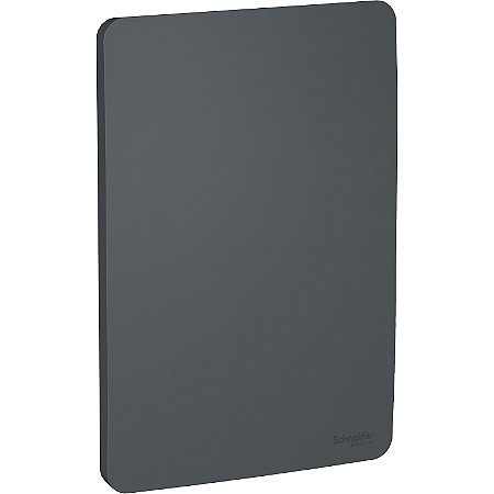 Placa 4X2 Cega Stellar Black S730100294 SCHNEIDER