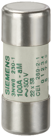 Fusível Cilínd 22X58Mm Am 100A 3NW8230-1 SIEMENS