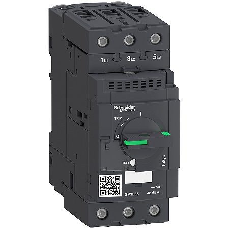 Disjuntor Magnetico Tesys Gv3 Everlink 65A Manopla Rotativa GV3L65 SCHNEIDER