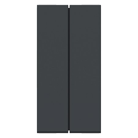 Modulo Duplo Interruptor Paralelo 10Ax 250V 1M Grafite S70100394 SCHNEIDER