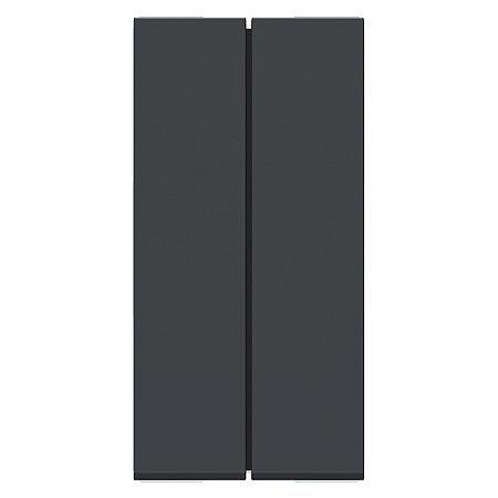 Modulo Duplo Pulsador Universal (Sem Gravacao) 10A 250V 1M Grafite S70100694 SCHNEIDER