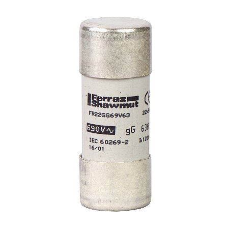 Fusivel 100A Gg Cilindrico 22X58 DF2FN100 SCHNEIDER