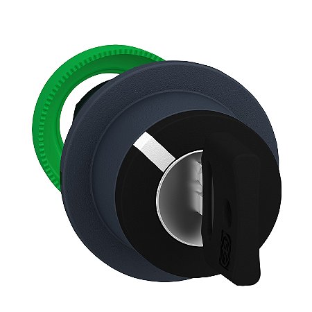 Flush Mounted Selector Switch Head Key 455 2 Pos Stay Put ZB5FG2 SCHNEIDER