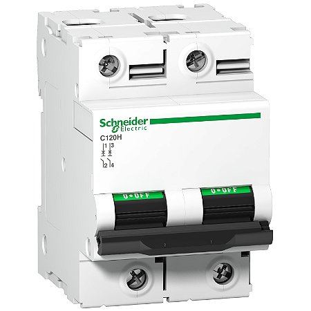 Disjuntor C120H 2P Curva C 125A 440V A9N18459 SCHNEIDER