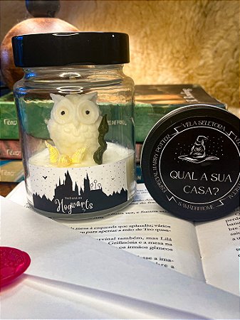 KIT PRESENTE VELA AROMÁTICA VOCÊ ESTÁ EM HOGWARTS - HARRY POTTER