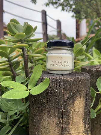 Mini Brisa da Primavera