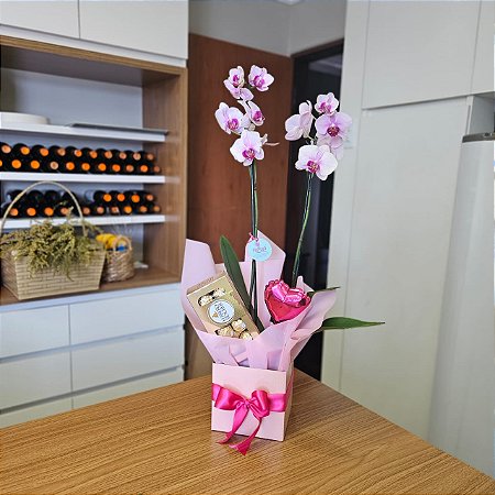 Cesta Orquídea