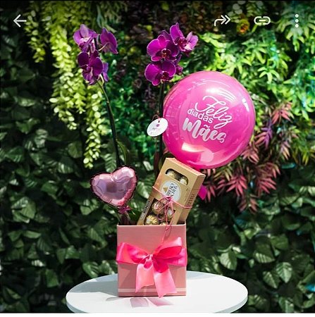 Cesta Orquídea com Balão