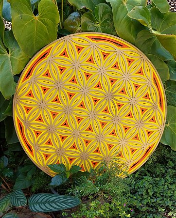 Mandala Flor da Vida Am-La