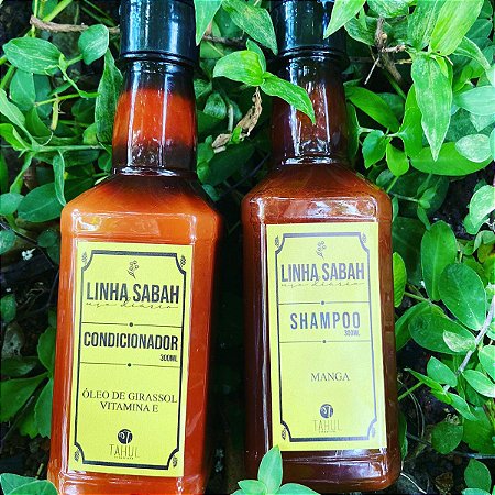 Shampoo e condicionador de Manga