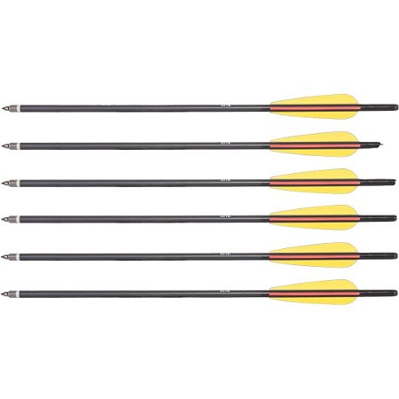 Kit com 6 Flechas de Alumínio 20 polegadas (508 mm) Black