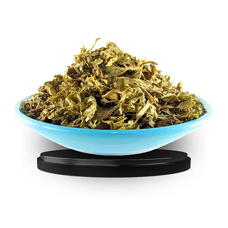 Poejo 2 pacotes 30g cada