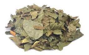 Congonha de Bugre 2 pacotes 30g cada