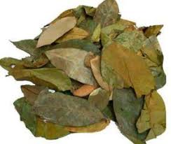 Laranja da Terra 2 pacotes 10g cada