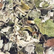 Panaceia 2 pacotes 20g cada