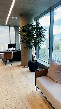 Árvore Preservada 2,00 mts com Vaso