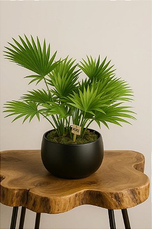 Vaso Bretagne Preto Fosco Licuala
