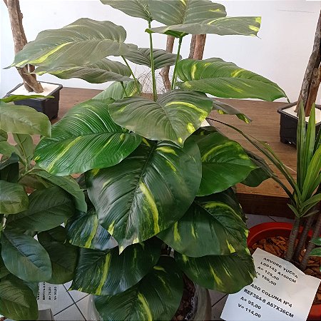 Planta Jiboia Realista