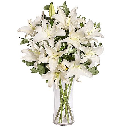 Assinatura de Flores Quinzenal com Vaso