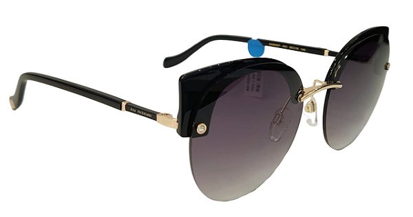 Armação para Óculos  Ana Hickamnn AH-90007 T02/58