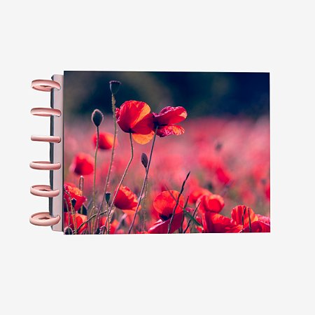 Sketchbook de Discos "Papoulas"