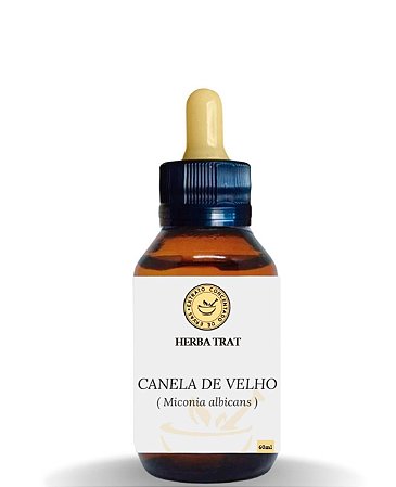 CANELA DE VELHO - EXTRATO 60ML ( Tintura Mãe )