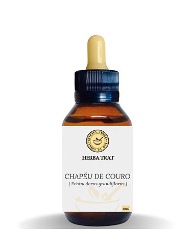 CHAPÉU DE COURO - EXTRATO 60ML ( Tintura Mãe )