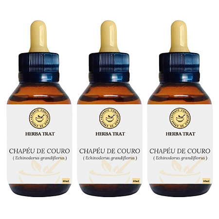CHAPÉU DE COURO - EXTRATO 60ML ( Tintura Mãe ) KIT COM 03 UNIDADES