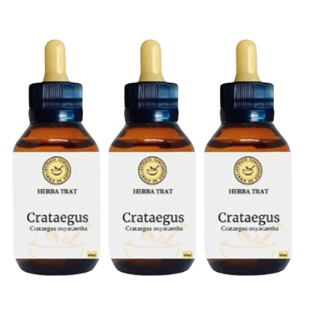 CRATAEGUS - EXTRATO 60ML ( Tintura Mãe ) KIT COM 03 UNIDADES