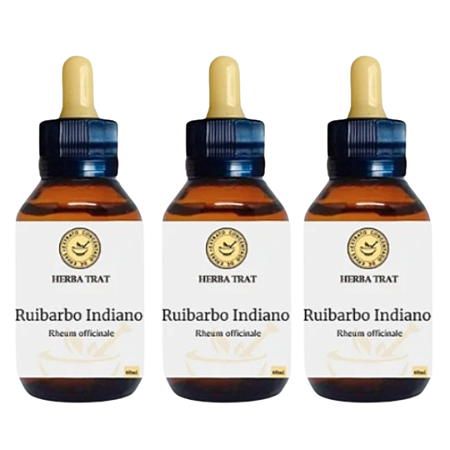 RUIBARBO INDIANO - EXTRATO 60ML KIT COM 03 UNIDADES