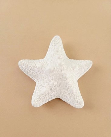 Aplique Estrela do Mar
