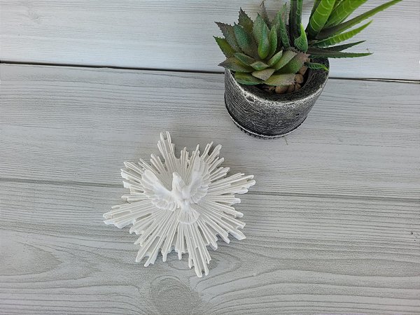 APLIQUE DIVINO COM RAIO 12X12